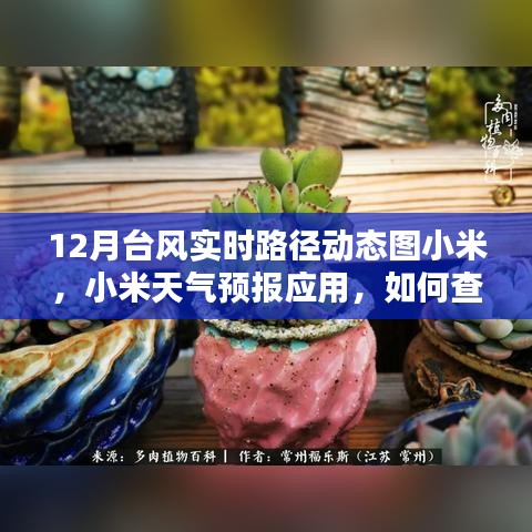 小米天氣預報應用,如何查看十二月臺風實時路徑動態圖