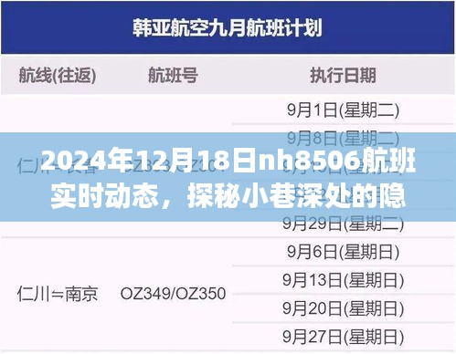探秘隱藏美食與NH航班背后的故事,NH航班實時動態與小巷深處的獨特魅力