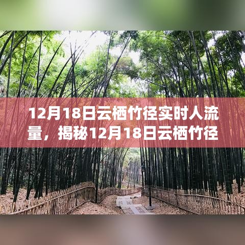 揭秘,云棲竹徑在12月18日的實時人流量深度解析與洞察報告