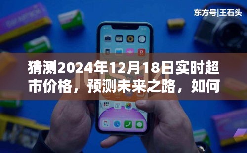2024年12月18日超市實時價格預測指南,初學者與進階用戶必備