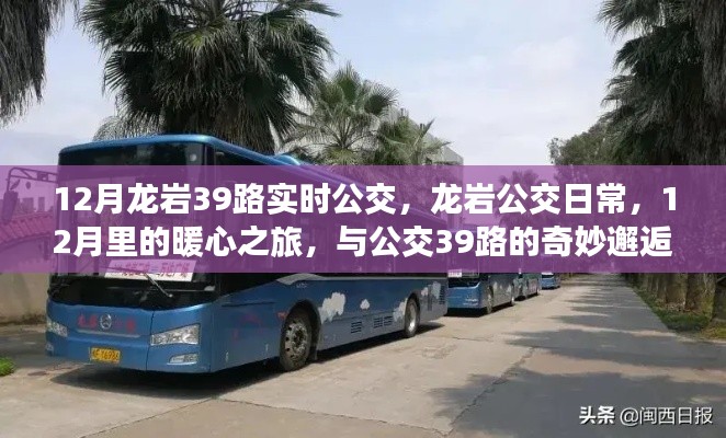 12月龍巖公交39路的暖心之旅,日常奇妙邂逅