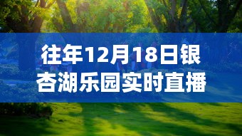 重溫銀杏湖樂園夢幻之旅,往年12月18日直播盛典回顧