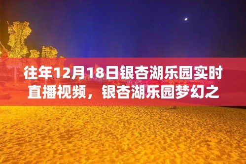 重溫銀杏湖樂園夢幻之旅,往年12月18日直播盛典回顧