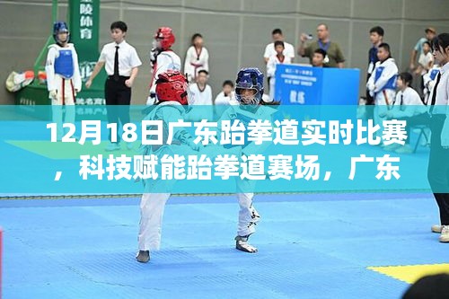 科技賦能跆拳道賽場,廣東跆拳道實時比賽智能體驗日紀實