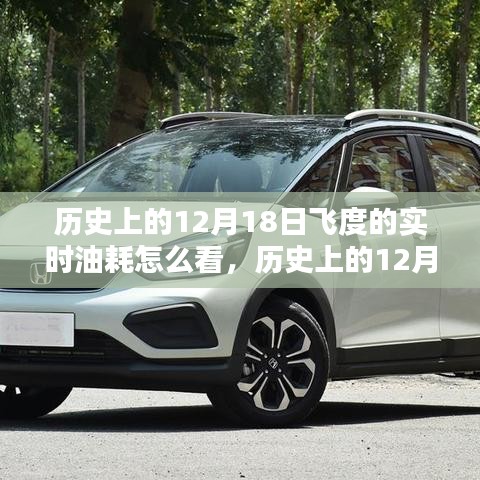 12月18日飛度車型實(shí)時(shí)油耗查看指南,歷史油耗查詢與解析