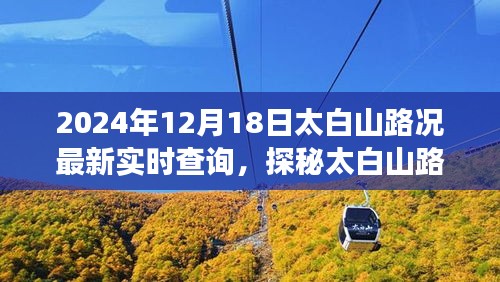 太白山路況實時更新,美食之旅探尋隱藏小巷的獨特風味