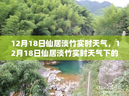 12月18日仙居淡竹實時天氣分析與氣候探討