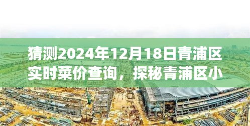 探秘青浦區菜價秘境,2024年12月18日菜價預測與實時查詢之旅