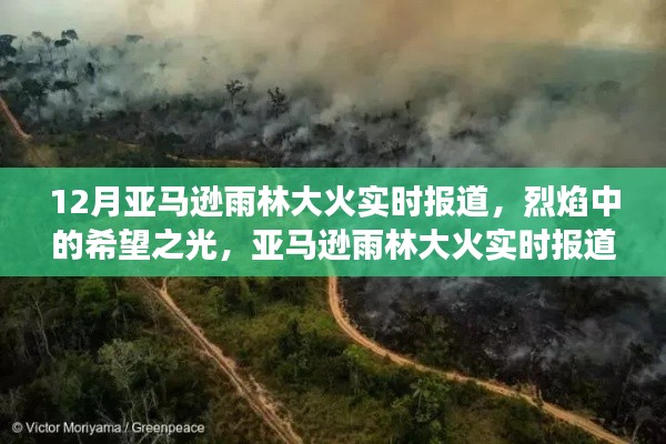 亞馬遜雨林大火實時報道,烈焰中的希望與挑戰(zhàn),啟示背后的故事與反思