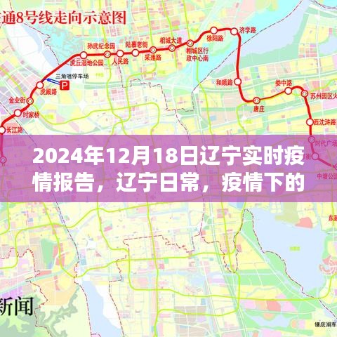 2024年12月18日遼寧疫情紀實,疫情下的溫暖與歡樂瞬間