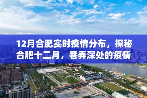合肥十二月疫情探秘，巷弄深處的實(shí)時(shí)分布與獨(dú)特小店的故事