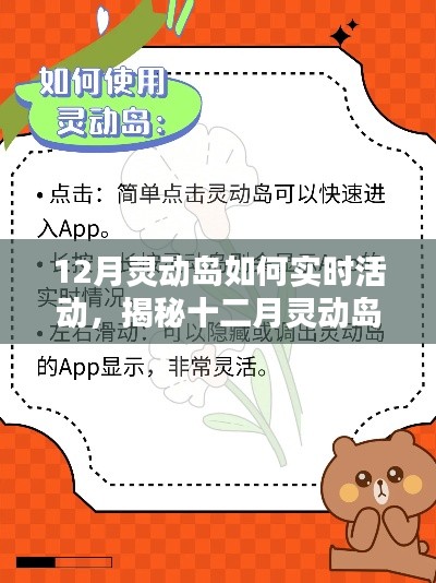 揭秘十二月靈動島,實時活動指南與精彩體驗