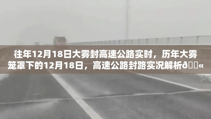 歷年大霧籠罩下的高速公路封路實(shí)況解析,揭秘大霧封路背后的真相與應(yīng)對之道!