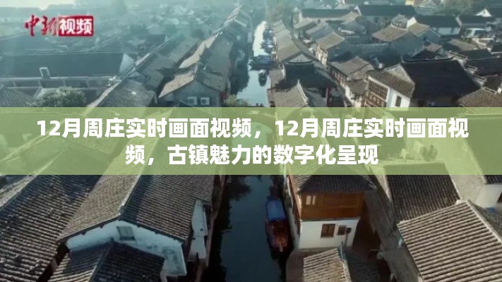 數字化呈現周莊古鎮的冬季魅力實時畫面視頻