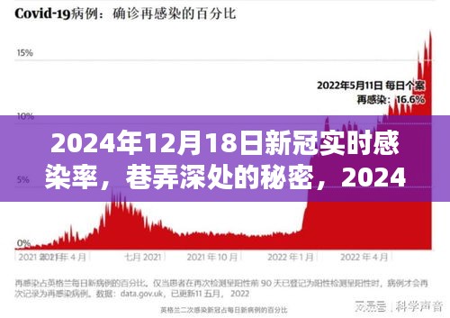 巷弄深處的秘密,2024年12月18日新冠實時感染率與特色小店的邂逅