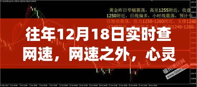 遠離塵囂的探美之旅,網速之外的心靈風景