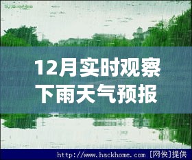 十二月的魔法時刻,雨中探索自然美景,與內(nèi)心的寧靜共舞的天氣之旅