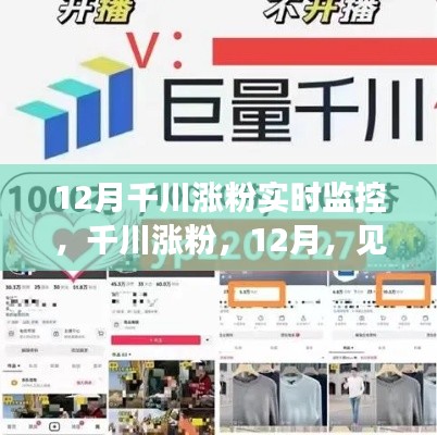 見證學習與變化的魔力時刻,千川漲粉實時監控,千川漲粉,十二月粉絲增長報告