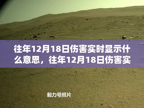 往年12月18日傷害實時顯示現象及其背后的意義與啟示探究
