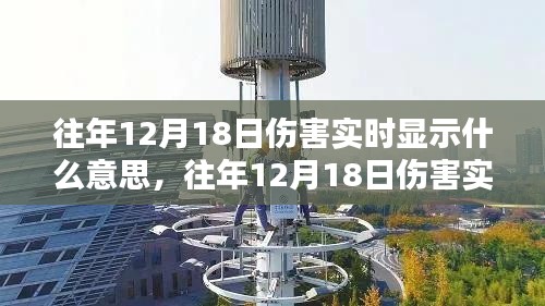 往年12月18日傷害實時顯示現象及其背后的意義與啟示探究