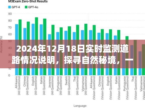 探尋自然秘境的心靈之旅,2024年12月18日實時監(jiān)測道路情況深度解析