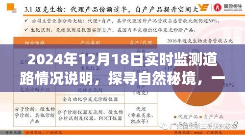探尋自然秘境的心靈之旅,2024年12月18日實時監(jiān)測道路情況深度解析