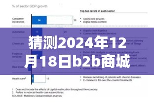 深度評測,預測與解析2024年12月18日B2B商城實時票據(jù)特性、體驗、競品對比及用戶群體分析