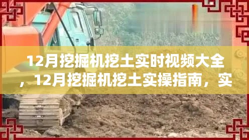 實時挖掘實操指南,挖掘機挖土技能速成與教程視頻合集