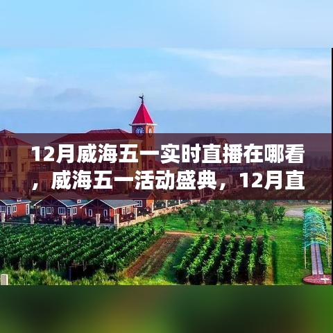 威海五一盛典直播回顧與活動影響力深度探討，直播盛宴與影響探索