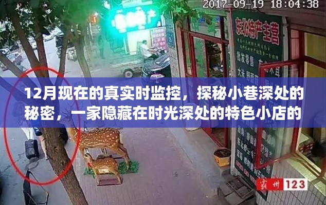 時光深處的特色小店,實時探秘小巷深處的秘密故事