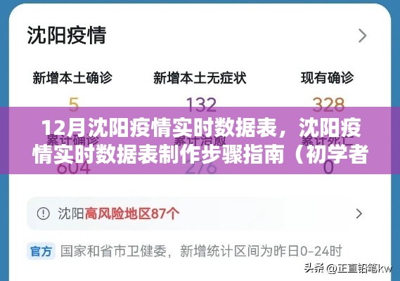 沈陽疫情實時數據表制作指南,初學者與進階用戶適用