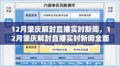 12月肇慶解封直播實時新聞,全面解讀與評測