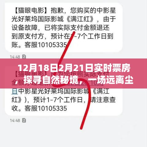 探尋自然秘境的心靈之旅,揭秘實時票房熱議背后的故事
