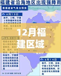 福建區域直播指南,12月實時直播步驟與初學者進階用戶共融寶典