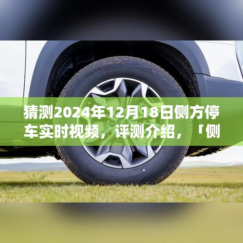 側方停車技術展望,2024年的停車體驗革新實時視頻評測介紹