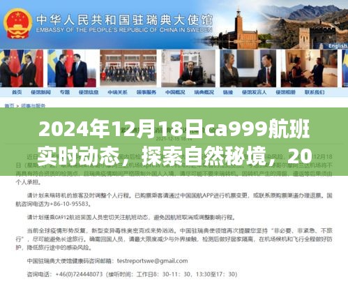 探索自然秘境，揭秘CA999航班實時動態與奇妙之旅