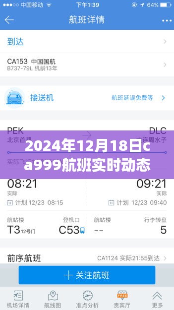 探索自然秘境,揭秘CA999航班實時動態(tài)與奇妙之旅