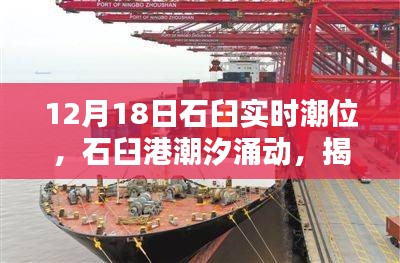 揭秘石臼港潮汐涌動,12月18日實時潮位深度解析