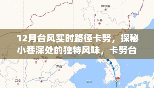 卡努臺風下的美食探秘,小巷深處的獨特風味與隱藏美食瑰寶