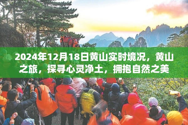 黃山之旅,探尋心靈凈土,擁抱自然之美——2024年12月18日黃山實時境況記錄