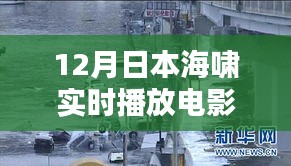 海嘯中的電影之夜,日本溫馨記憶