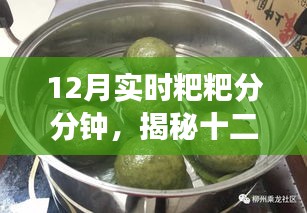揭秘十二月實時趨勢背后的故事,粑粑分鐘熱的背后真相