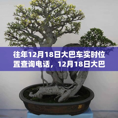 技術革新與出行變革,追溯大巴車定位查詢熱線的發(fā)展歷程