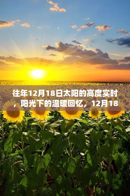 12月18日太陽高度下的友情與溫暖回憶