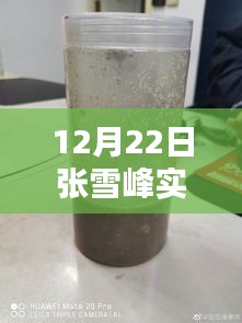 張雪峰老師12月22日實時動態報名指南,適合初學者與進階用戶的報名步驟全解析