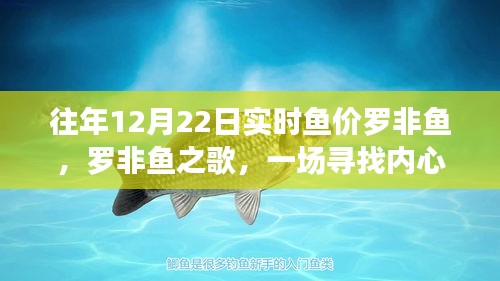 羅非魚(yú)之歌,探尋深海魚(yú)價(jià)與內(nèi)心平靜的旅程