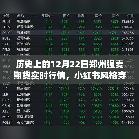 揭秘鄭州強麥期貨行情巔峰時刻,歷史上的特殊日子實時行情回顧——小紅書風格穿越時光