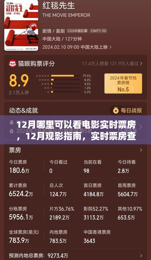 12月觀影指南,實時票房查詢全攻略與電影熱門推薦