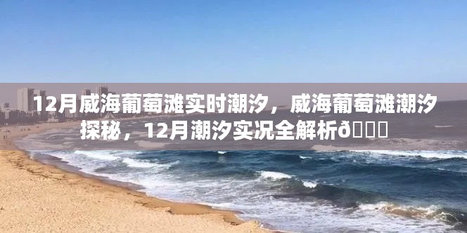 威海葡萄灘12月潮汐實況解析,潮汐探秘全攻略