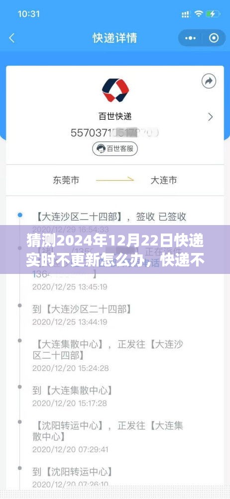 快遞實時更新故障應對指南,快遞不更新?日常冒險之旅中的溫馨解決方案